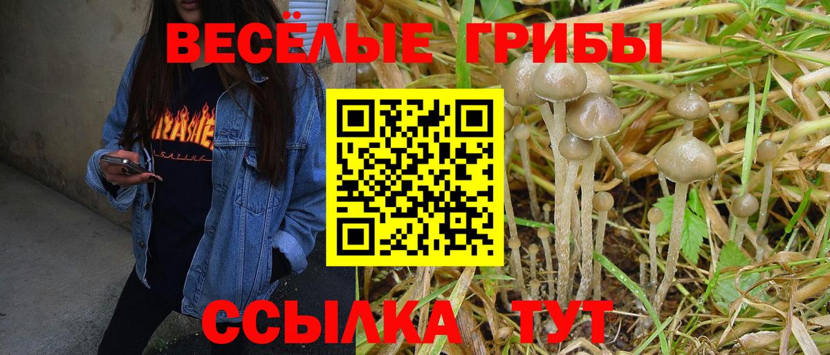 Псилоцибиновые грибы мухоморы Изобильный